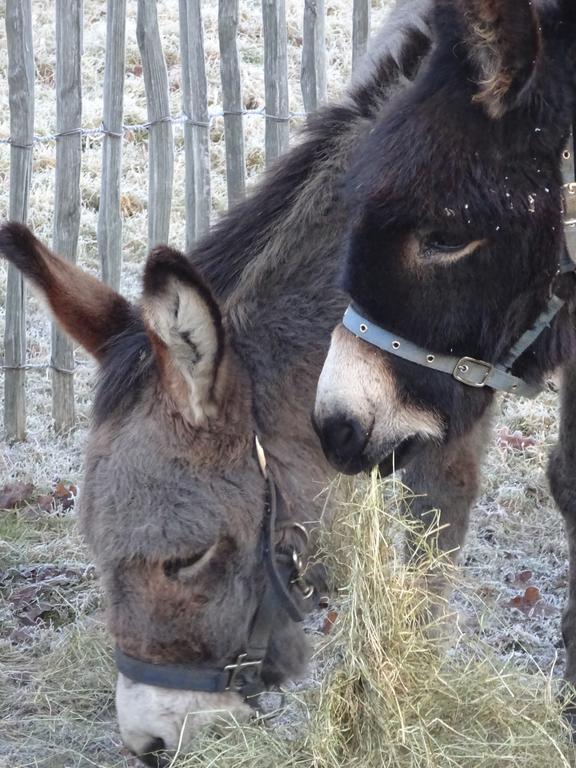 Moka & Vanille Heusden-Zolder Екстер'єр фото